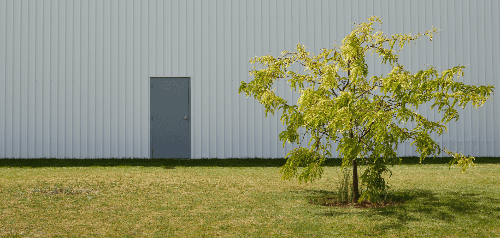 A modern industrial building with a closed grey metal door and a green tree in the foreground, representing Australian door regulations