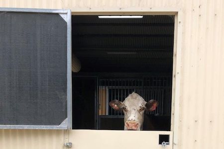 Swinging Doors For Different Applications