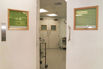 Custom laser and radiation-resistant doors